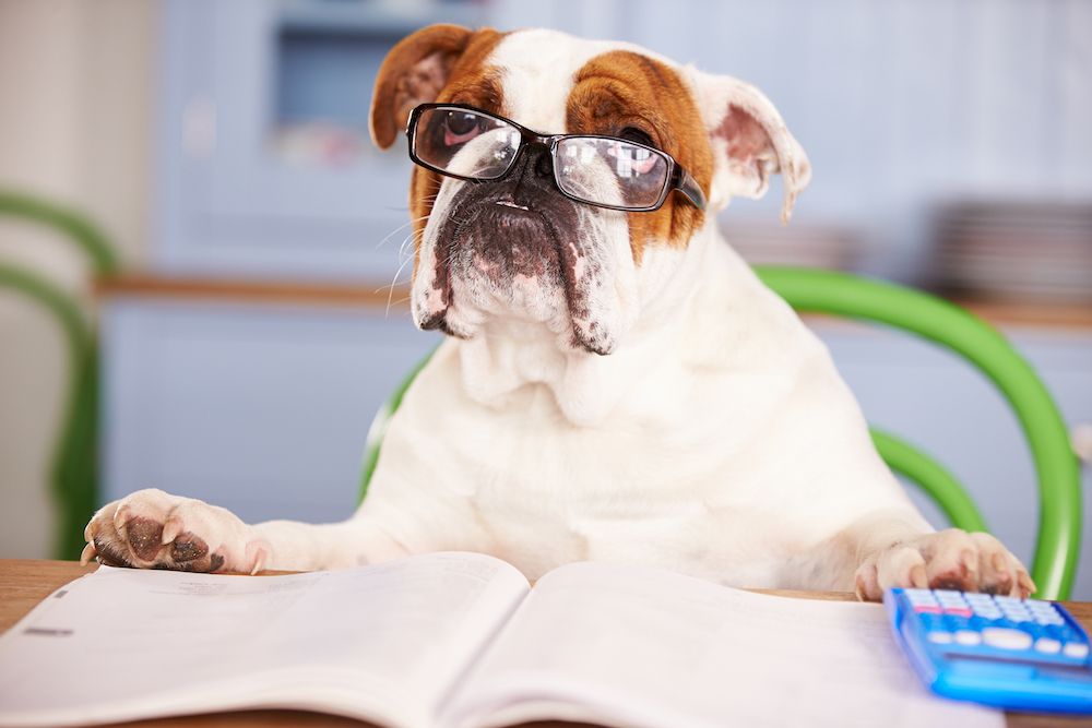 Editorial: July 26, 2024